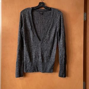 Express sparkle sweater